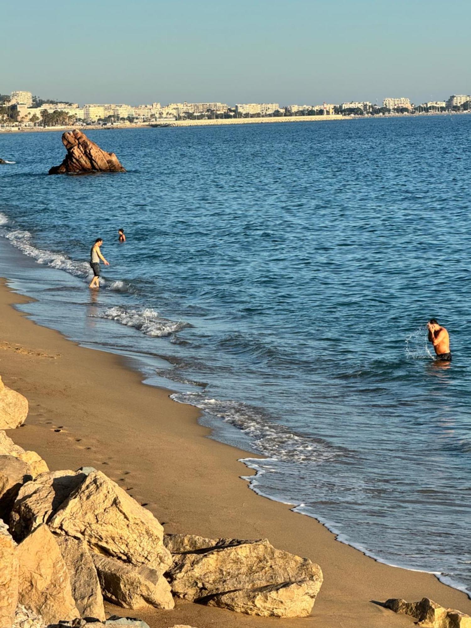 Le Palm Azur - Vue Sur Les Iles De Lerins Appartamento